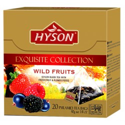 Hyson Schwarzer Tee Waldfruechten pyramide 2g x 20