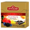 Hyson Schwarzer Tee Waldfruechten pyramide 2g x 20
